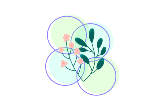 Floral Ornament Illustrations