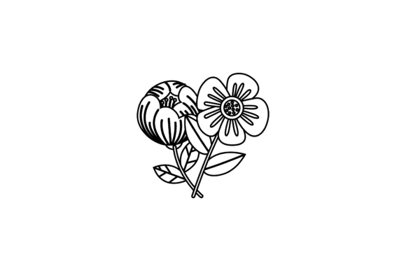 Floral Spring Illustrations
